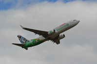 F-GZHO @ LFPO - TRANSAVIA FRANCE - by fink123