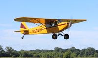 N5031H @ 7V3 - Piper PA-11 - by Mark Pasqualino