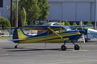 N433W @ KAWO - Cessna 170B at KAWO - by Eric Olsen