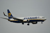 EI-FTW @ EHAM - RYANAIR 737-800 - by fink123