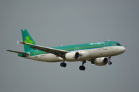 EI-DEG @ EHAM - AIR LINGUS A 320 - by fink123