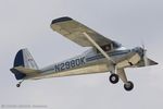 N2980K @ KOSH - Luscombe 8A Luscome Master CN 5707, N2980K