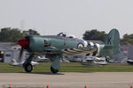 N97SF @ KOSH - Hawker Sea Fury FB.11 CN 37729, N97SF - by Dariusz Jezewski  FotoDJ.com