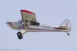 N13VC @ KOSH - PA-18 Super Cub CN 0002, N13VC