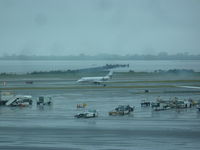 N38MK @ JFK - Berkut