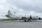14806 - Lockheed P-3P Orion at the Museu do Ar, Sintra