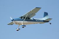 N313DQ @ KOSH - Cessna 180