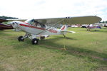 N1066A @ OSH - 1951 Piper PA-18, c/n: 18-646 - by Timothy Aanerud