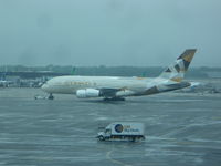A6-APF @ JFK - Airbus A380 - by Christian Maurer