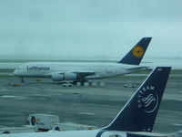 D-AIMF @ JFK - Airbus A380 - by Christian Maurer