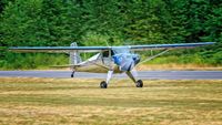 N71381 @ 3W5 - 3W5 - by Terry Green