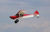 N126C @ KOSH - Cubcrafters Carbon Cub