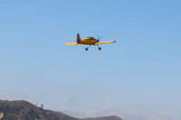 N406L photo, click to enlarge