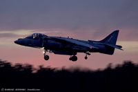 163876 @ KNTU - AV-8B Harrier 163876 WH-17 from VMA-542 Flying Tigers  MCAS Cherry Point, NC - by Dariusz Jezewski www.FotoDj.com