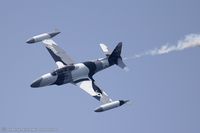 N134EM - Black Diamond Jet Team - by Dariusz Jezewski www.FotoDj.com