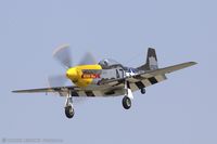 N119H @ KFRG - North American F-51D Mustang Never Miss  C/N 44-73275, N119H - by Dariusz Jezewski www.FotoDj.com