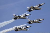 N137EM - Black Diamond Jet Team - N137EM - by Dariusz Jezewski www.FotoDj.com