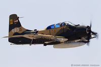 N39147 @ KCNO - Douglas AD-5 (A-1E) Skyraider  C/N 132683, N39147 - by Dariusz Jezewski www.FotoDj.com