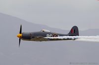 N19SF @ KCNO - Hawker Sea Fury Mk.11 Argonaut  C/N 41H656803, N19SF