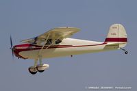 N2635N @ KOSH - Cessna 140  C/N 12893, N2635N - by Dariusz Jezewski www.FotoDj.com