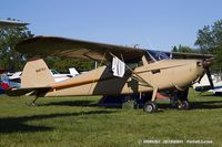 N4079V @ KOSH - Cessna 170  C/N 18411, N4079V - by Dariusz Jezewski www.FotoDj.com