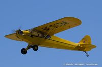N51534 @ KOSH - Piper J3C-65 Cub  C/N 10455, NC51534