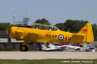 N7431 @ KOSH - Canadian Car & Foundry Harvard Mk.IV  C/N CCF4 222, NX7431