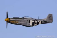 N51PE @ KOSH - North American F-51D Mustang Little Horse  C/N 4511586, N51PE