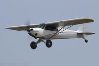 N81MB @ KOSH - Cub Crafters CC11-160  C/N CC11-00276, N81MB - by Dariusz Jezewski www.FotoDj.com