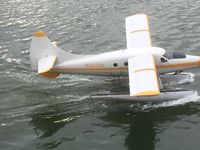 N337AK - Taken from our cruise ship in Sitka - by David Vannier