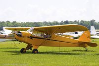 N98452 @ KOSH - Piper  J-3 Cub  C/N 18643, N98452