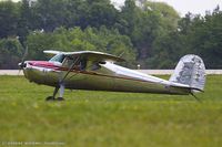 N77196 @ KOSH - Cessna 120  C/N 11658, N77196 - by Dariusz Jezewski www.FotoDj.com