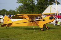 N7401H @ KOSH - Piper J3C-65 Cub  C/N 20664, NC7401H - by Dariusz Jezewski www.FotoDj.com