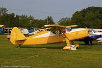 N77666 @ KOSH - Fairchild 24R-46  C/N R46366, N77666