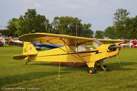 N31065 @ KOSH - Piper J3L-65 Cub  C/N 5305, NC31065
