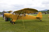 N50084 @ KRDG - Piper L-21B  C/N 53-7720, N50084