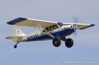 N263AL @ KOSH - Aviat A-1B Husky  C/N 2426, N263AL - by Dariusz Jezewski www.FotoDj.com