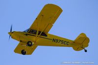 N975CC @ KOSH - Cub Crafters CC11-100 Sport Cub  C/N CC11-00055, N975CC - by Dariusz Jezewski www.FotoDj.com