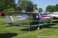 N2339N @ KOSH - Cessna 120  C/N 12579, NC2339N - by Dariusz Jezewski www.FotoDj.com