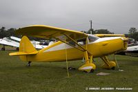 N77661 @ KOSH - Fairchild 24R-46  C/N R46-361, N77661