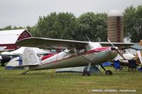 N2960N @ KOSH - Cessna 140  C/N 13218, NC2960N - by Dariusz Jezewski www.FotoDj.com