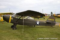 N57504 @ KOSH - Taylorcraft DCO-65  C/N 0-4466, N57504 - by Dariusz Jezewski www.FotoDj.com