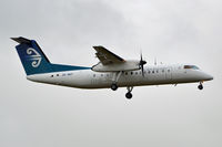 ZK-NEF photo, click to enlarge
