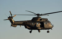 S-450 @ EHSE - COUGAR AT SEPPE - by fink123