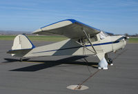 N44028 @ KPRB - Locally-based 1946 Taylorcraft BC-12D with hefty bag wheel covers @ Paso Robles Municipal Airport, CA (deregistered by FAA 2012-11-29)