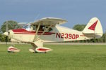 N2390P @ KOSH - At 2017 EAA AirVenture at Oshkosh - by Terry Fletcher