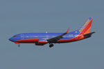 N397SW @ DAL - At Dallas Love Field - by Zane Adams