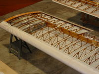 N8480 - Wing covering - by 3Point
