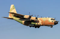 309 @ LIED - LANDING