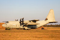 MM62181 @ LIED - STERTUP